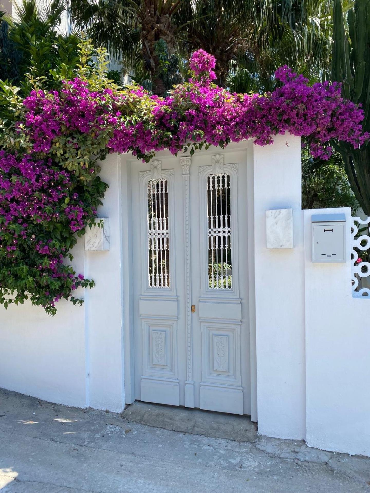 Manolis' House Lejlighedshotel Skiathos by Eksteriør billede