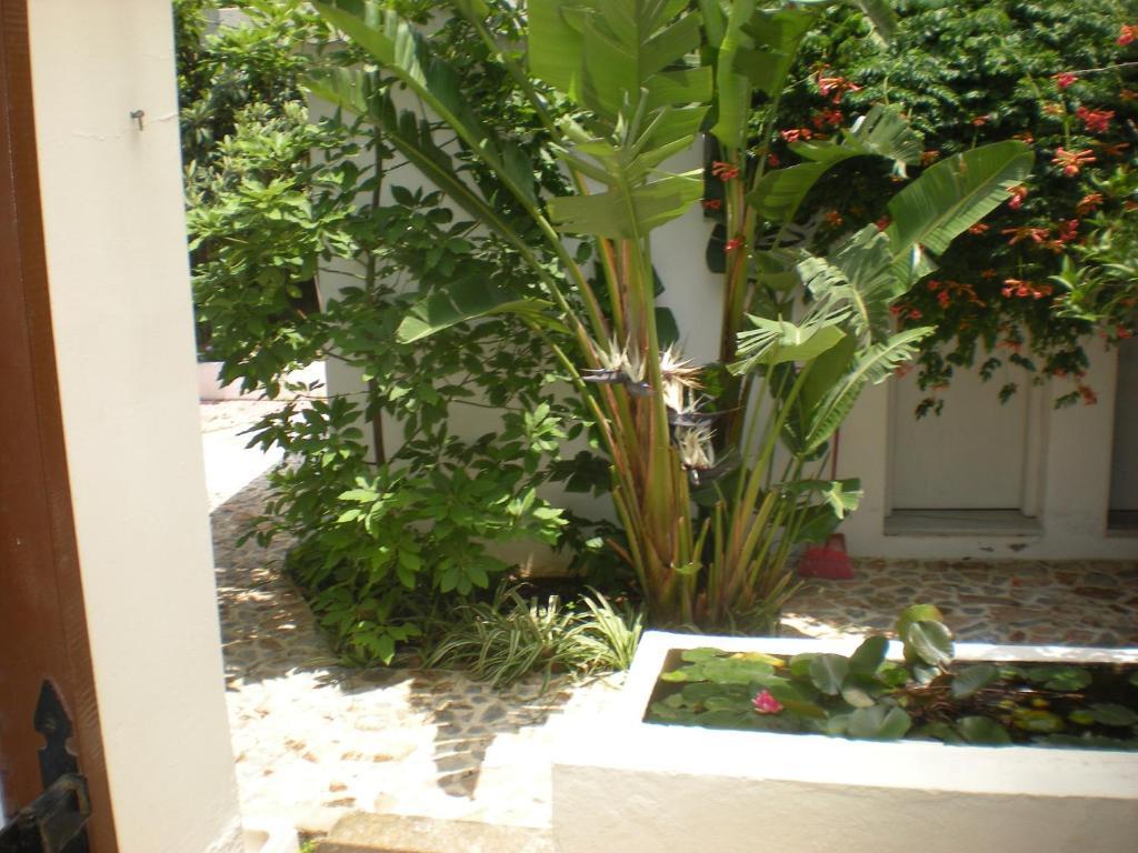 Manolis' House Lejlighedshotel Skiathos by Værelse billede