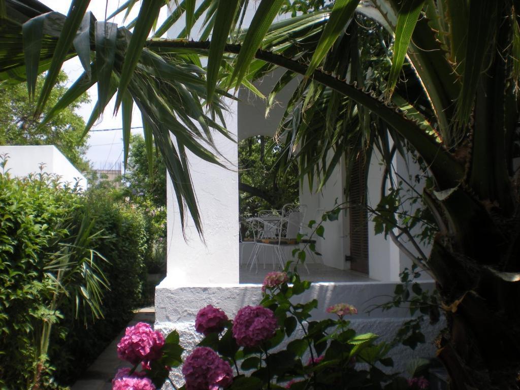 Manolis' House Lejlighedshotel Skiathos by Værelse billede