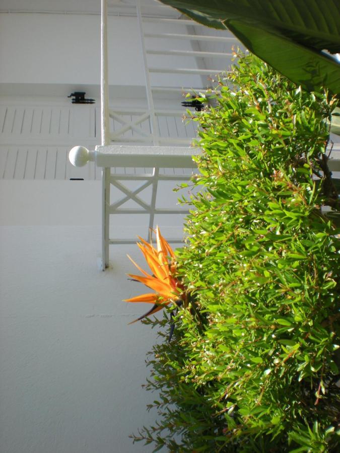 Manolis' House Lejlighedshotel Skiathos by Eksteriør billede